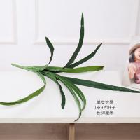 uploads/erp/collection/images/Home Garden/CongDing/XU0611271/img_b/XU0611271_img_b_4